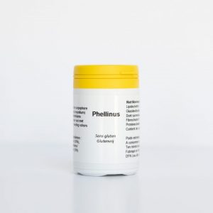 Phellinus